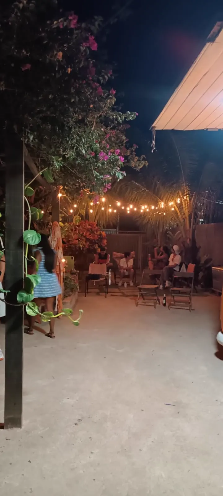 Quintal com buganvília florida e luzes acesas
